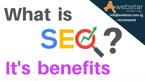 what is seo