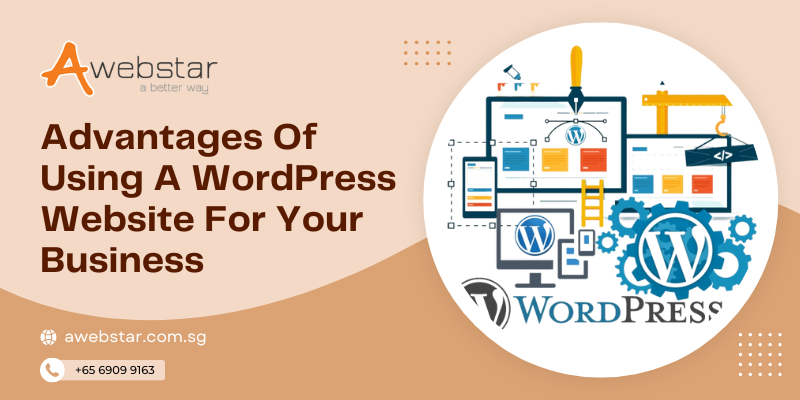Advantages of using a WordPress Website for your Business