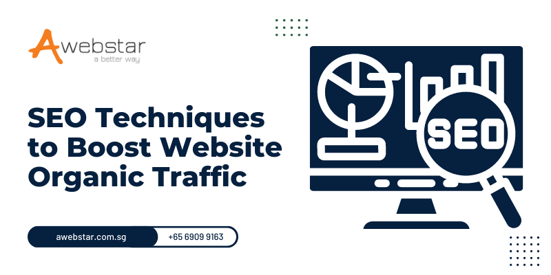 SEO Techniques to Boost Website Organic Traffic